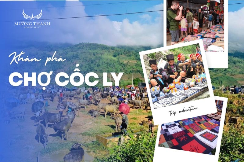 trai-nghiem-cho-coc-ly